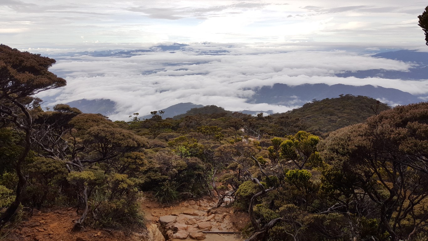 Borneo